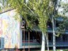 Детский оздоровительный центр «Красная гвоздика»