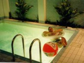 Сауна с бассейном