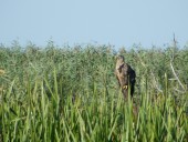 Экология здесь в норме