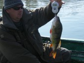 Сашин окушок на 1.3 кг