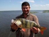 Раскатный гигант