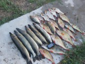 Улов за день троих