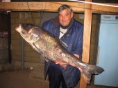 Есть еще порох в пороховницах!