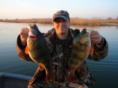 Чем не рекорд?