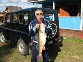 Судак за ...кг