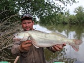 С ямы в 1 км от базы