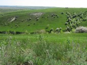 Природный парк 