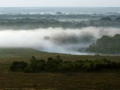 Природный парк 