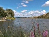 Природный парк 