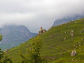 Живописная природа вокруг башни