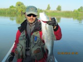 Сашин жерех