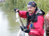 База Развитие. Сашин судачок