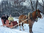 Катание на санях