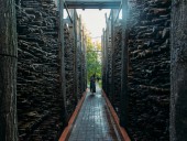 Акваионотерапия