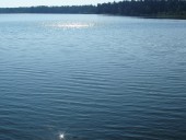 Белое озеро