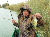 Димын окушок