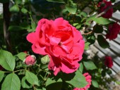 На территории