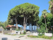 Музей античного искусства в Сиде