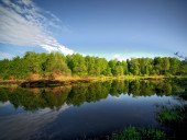 Река Лама.