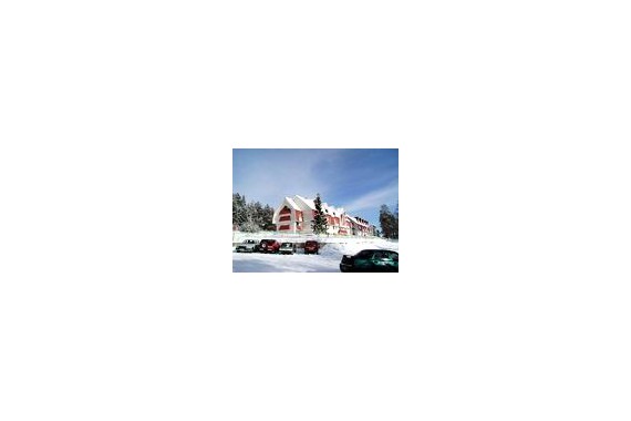 Фотография Отель «Каменный цветок» 0