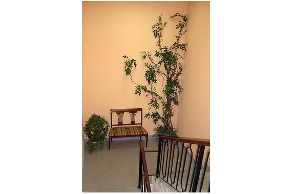 Фотография Мини-отель «Дворы капеллы» 9