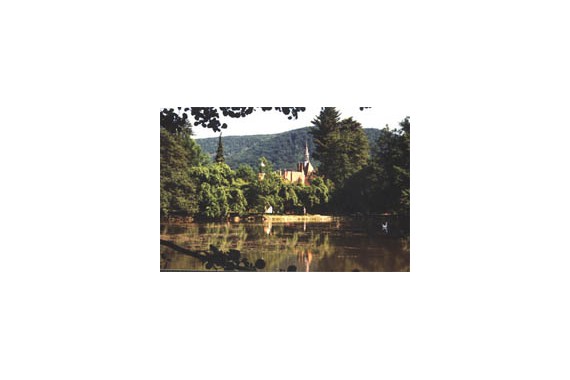 Фотография Санаторий «Карпаты» 3