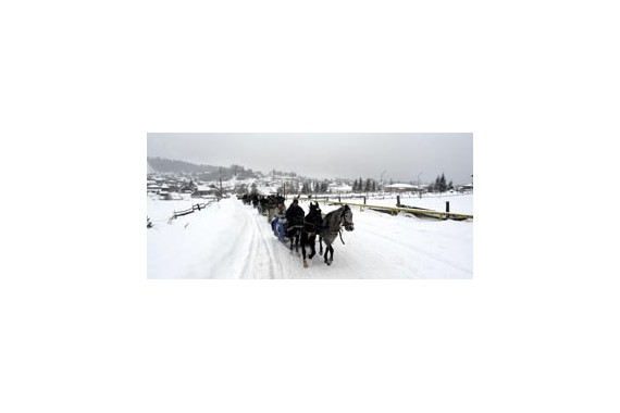 Фотография Гостиница «Триалети Палас» 7