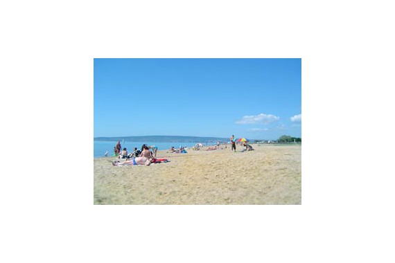 Фотография Пансионат «Золотой берег» 7