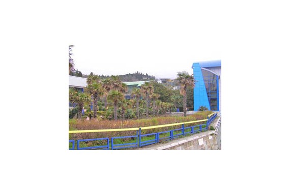 Фотография МДЦ «Артек» 8