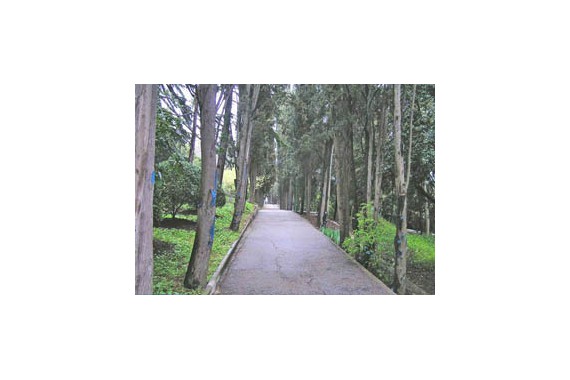 Фотография МДЦ «Артек» 10