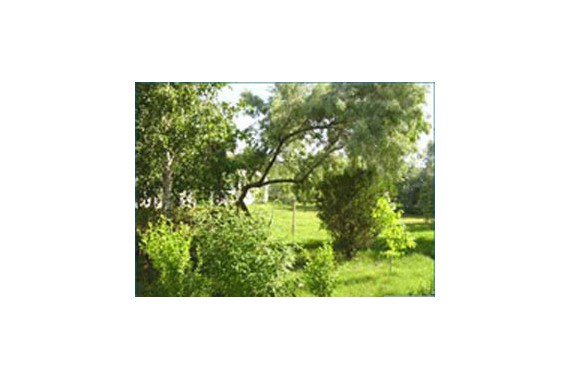 Фотография Пансионат «Бригантина» 8