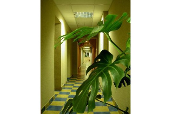 Фотография Мини-отель «Люко» 1