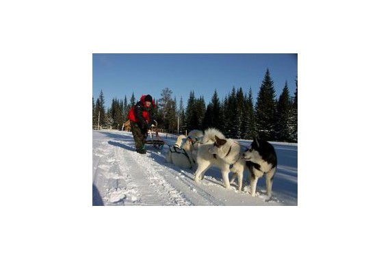 Фотография Эко-парк «Зюраткуль» 4