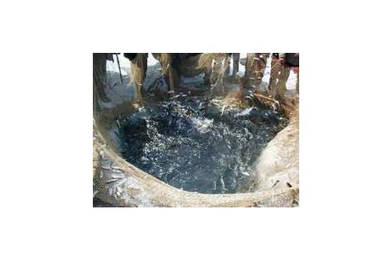 Фотография База отдыха «Чайка» 2