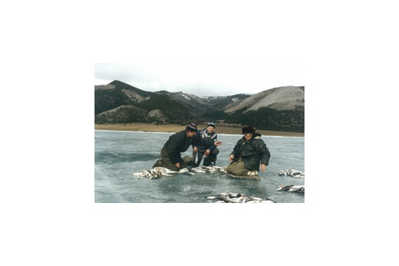 Фотография База отдыха «Чайка» 1