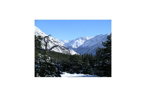 Фотография Отель «Озон Ландхаус» 9