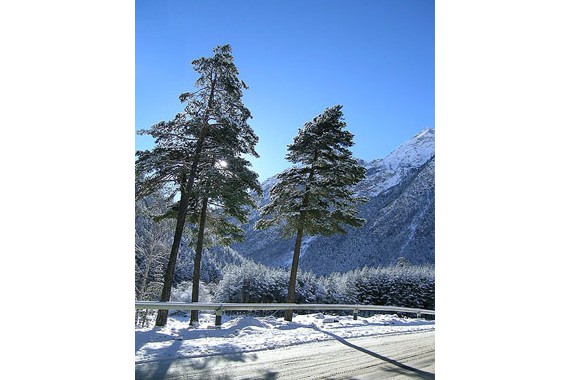 Фотография Отель «Озон Чегет» 9