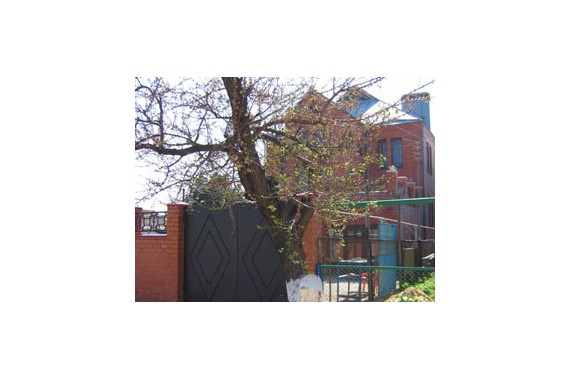 Фотография Мини-отель «София» 1