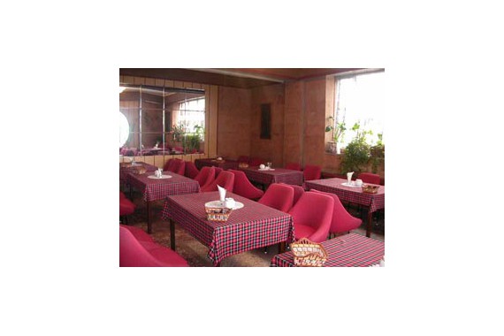 Фотография Гостиница «Дом творчества писателей» 9