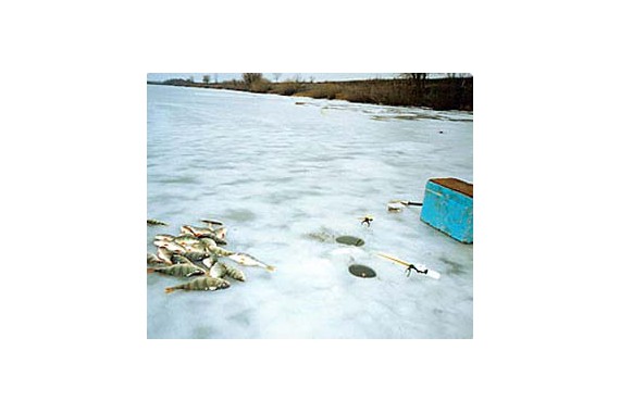 Фотография База отдыха «Судачий берег» 2