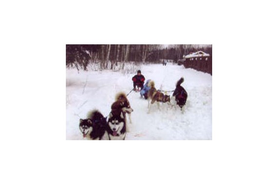 Фотография База отдыха «Урочище Ситное» 5