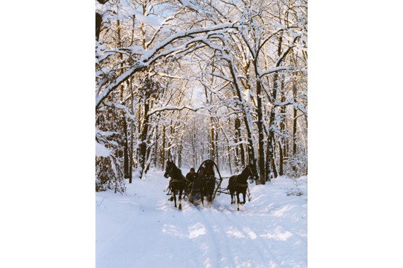 Фотография Отель «Яр» 9