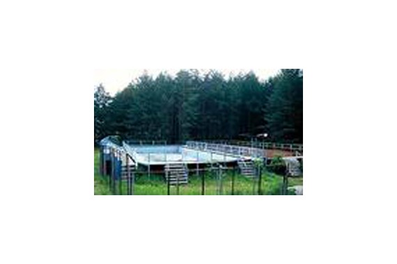 Фотография Детский оздоровительный центр «Сосновый бор» 5