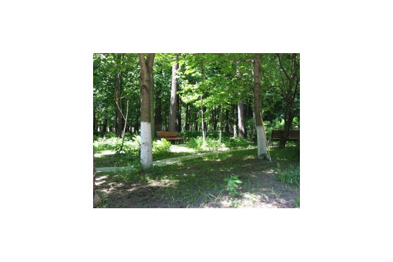 Фотография Санаторно-гостиничный комплекс «Светлана» 1