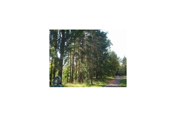 Фотография Санаторий «им. С. М. Кирова» 3