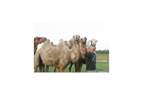 Фотография Парк отдыха «Веслево» 6