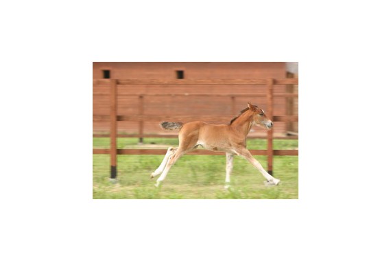 Фотография Парк отдыха «Веслево» 9