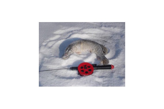 Фотография Плавучая гостиница «Золотой лотос» 7