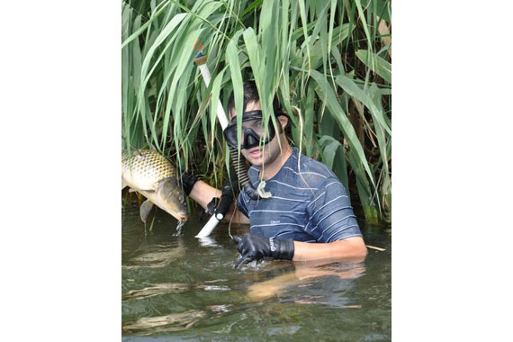 Фотография Плавучая гостиница «Золотой лотос» 5