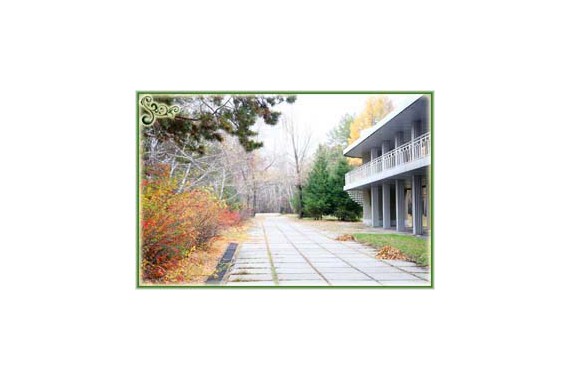 Фотография Санаторий-профилакторий «Русский лес» 0